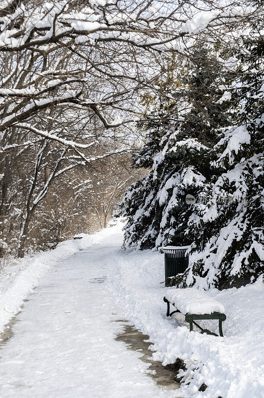 密歇根州罗彻斯特的雪道