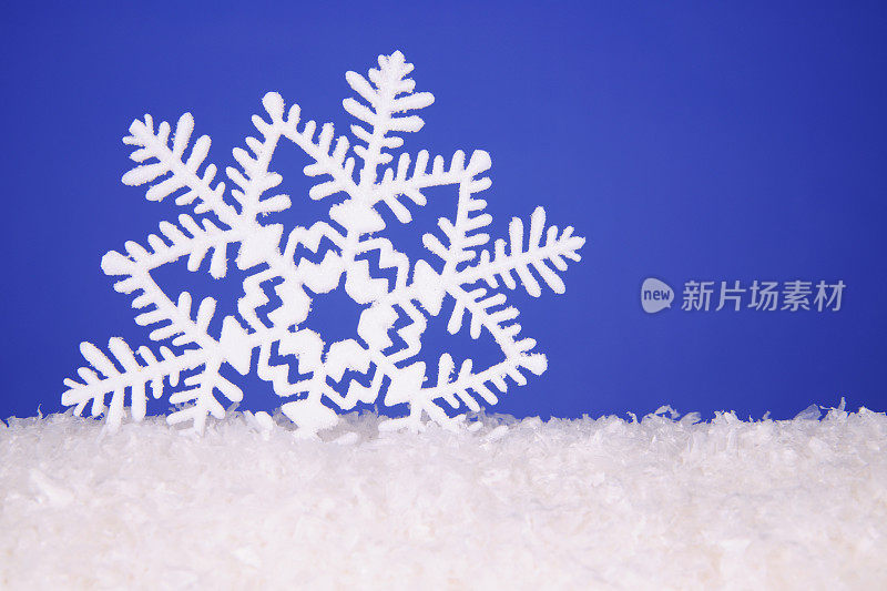 美丽的雪花在雪中