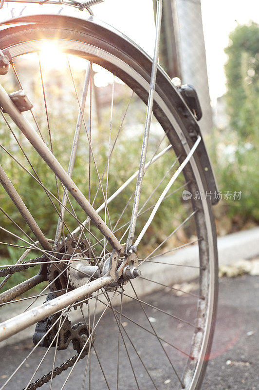 自行车轮子背光