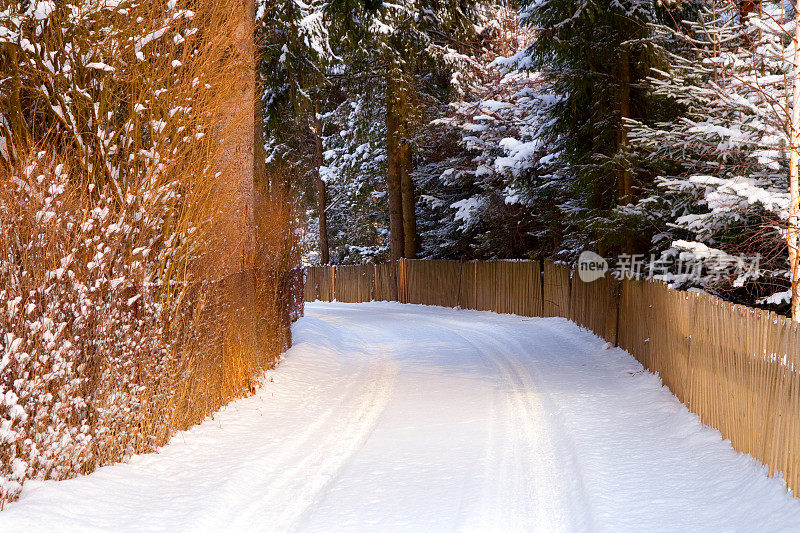 白雪皑皑的乡村道路