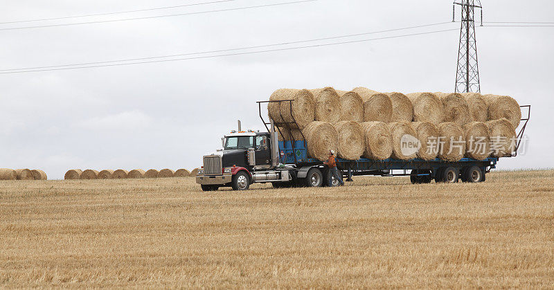 田间运输稻草包的卡车