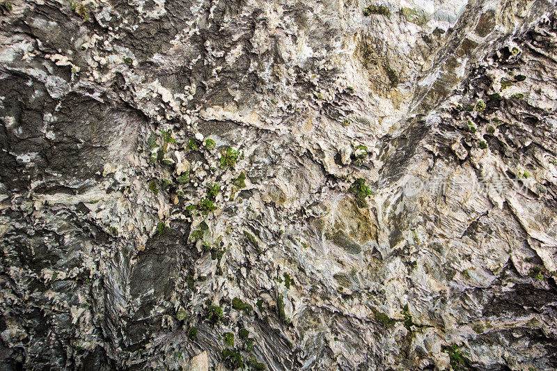 克里特岛托波利亚峡谷的阿加索非亚洞穴
