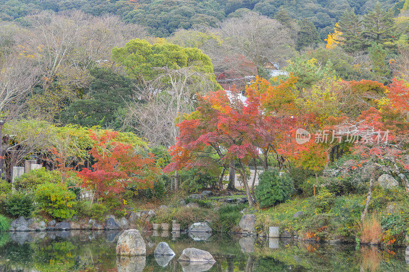 丸山公园的秋色