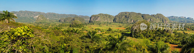古巴维纳莱斯山谷全景图