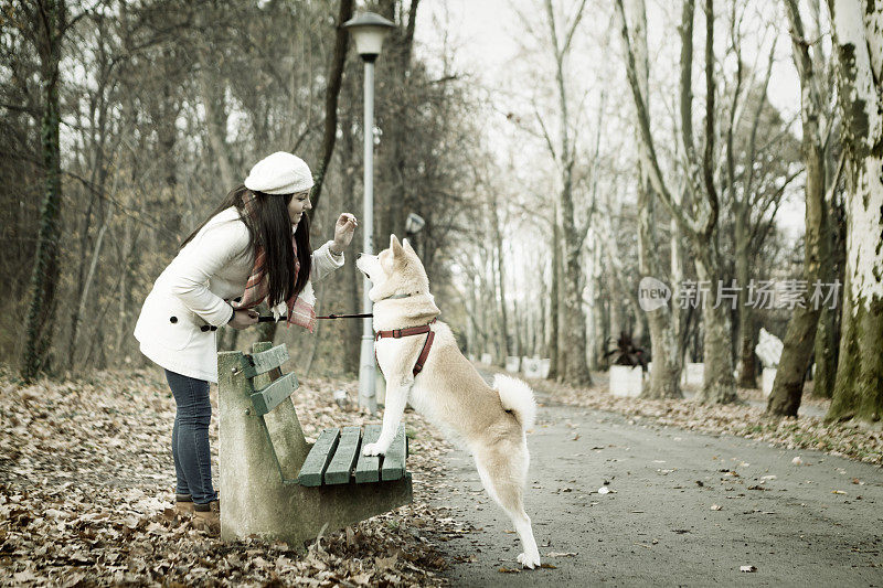 女孩和她的狗散步