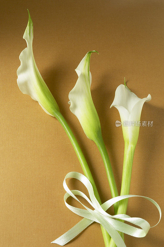 三个Calla-liles礼物