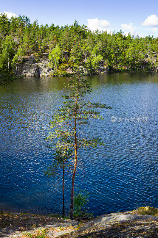 芬兰斯堪的纳维亚的湖景