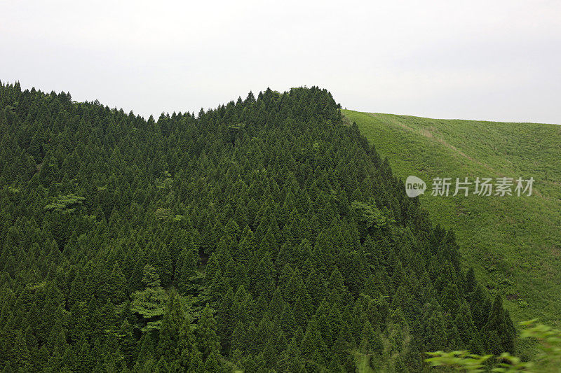 森林和翻滚的山麻生，熊本县，日本