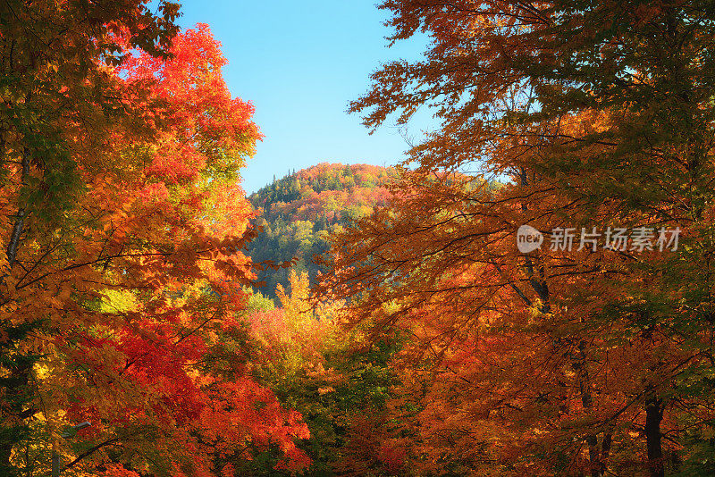 特朗山国家公园的秋天