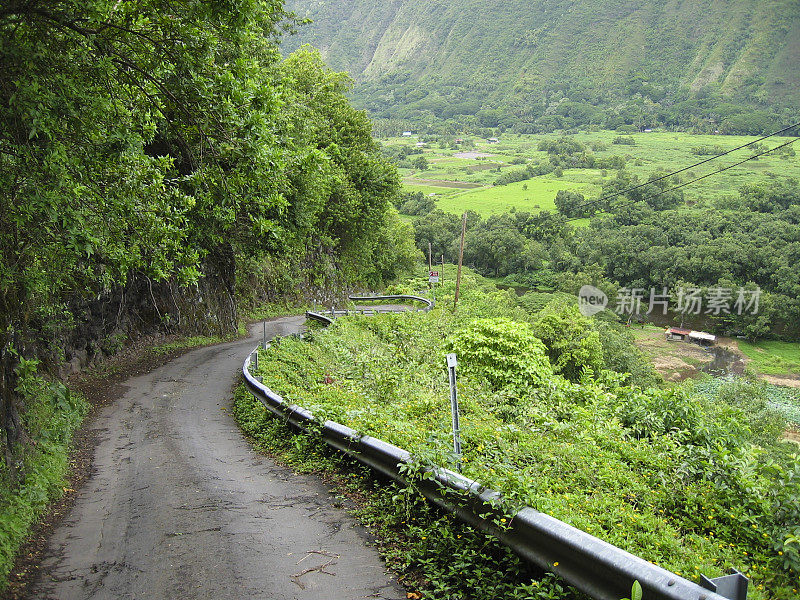 夏威夷的道路