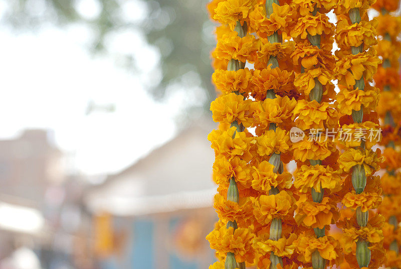 万寿菊鲜花花环