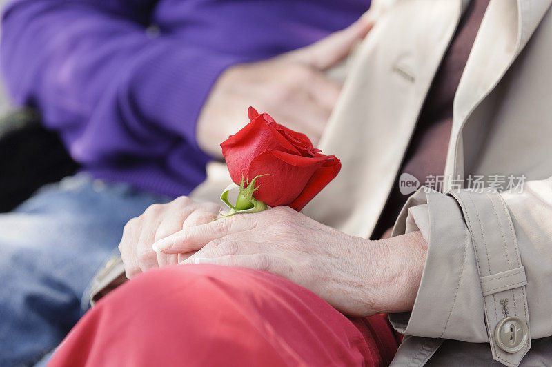 女人拿着一朵红玫瑰的特写