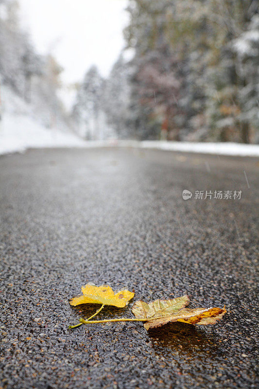冬日的街头带着秋天的最后一场离别