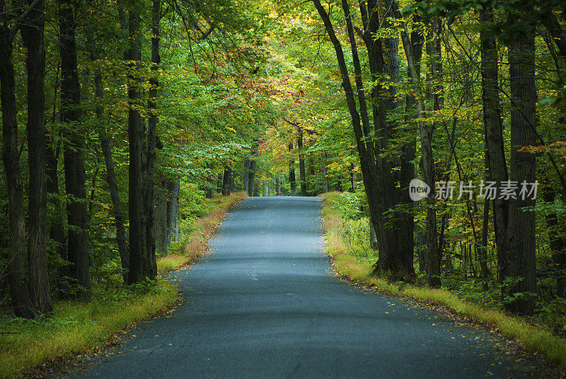 秋天的乡村路