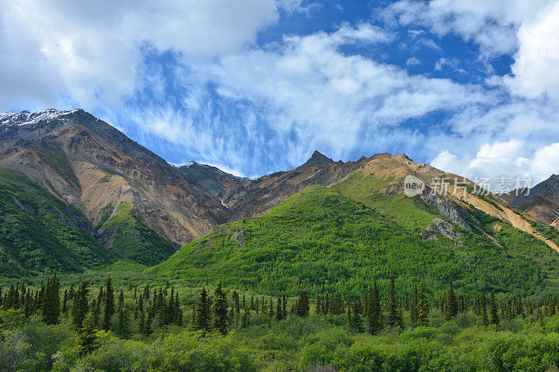 阿拉斯加的风景山