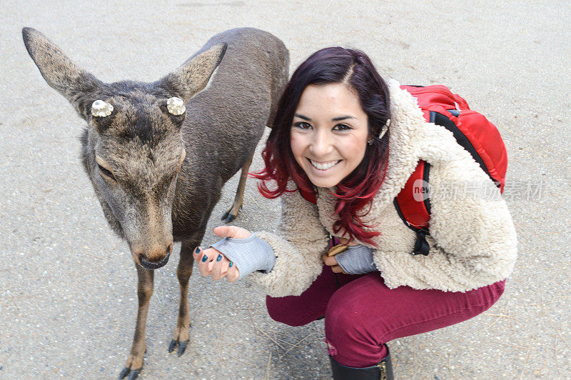 日本奈良公园，一名年轻女子在喂鹿