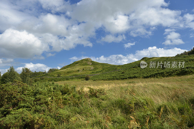 在夏天未被破坏的苏格兰乡村邓弗里斯和加洛韦