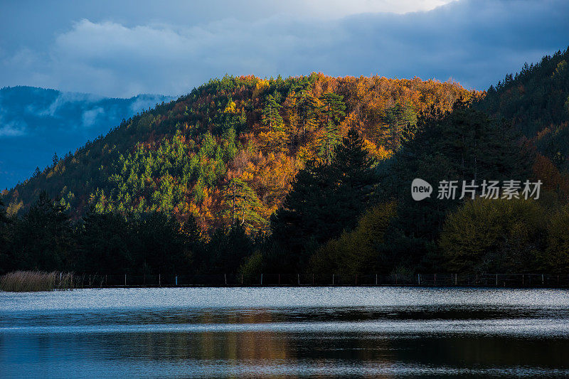 夕阳下的秋景