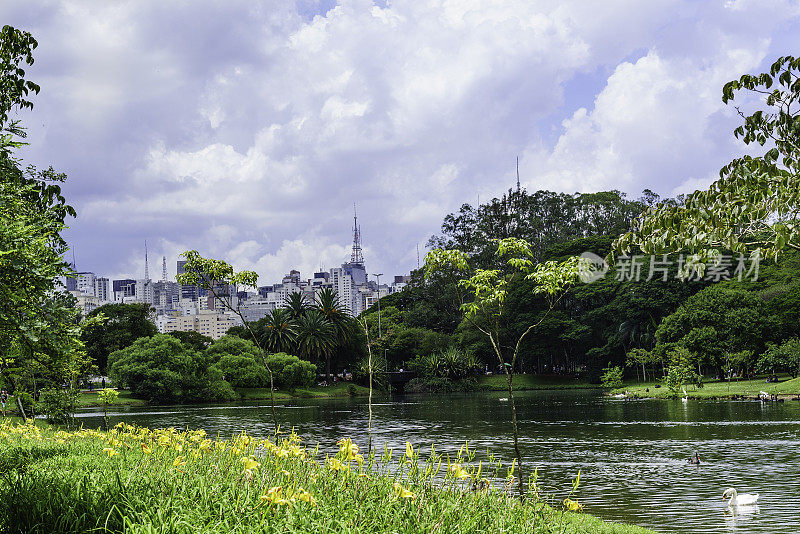 巴西圣保罗的Ibirapuera公园