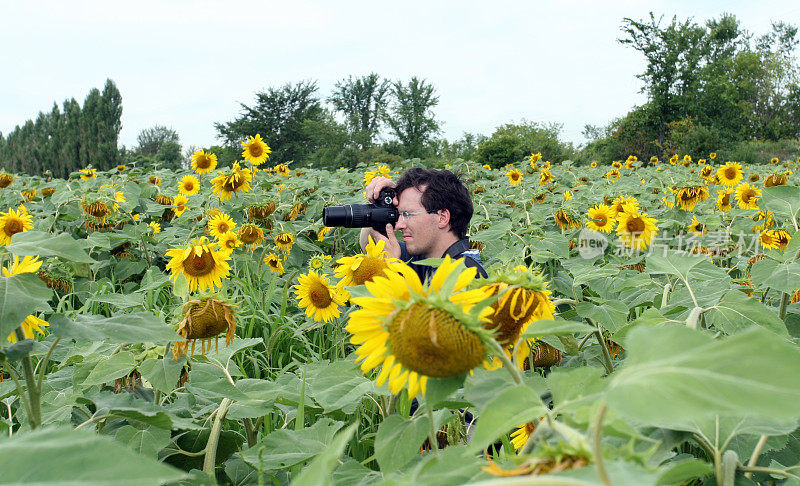 男摄影师在向日葵地里用单反相机拍照