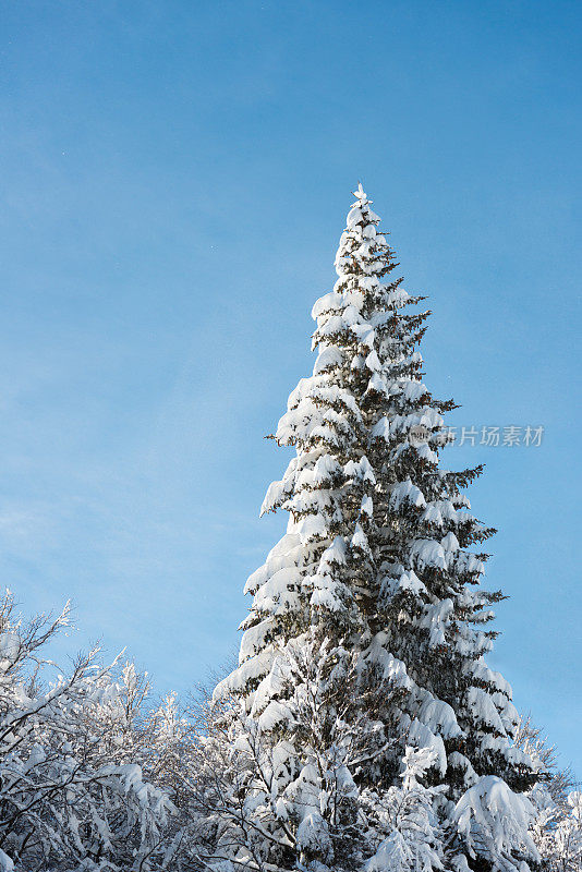 意大利阿尔卑斯滑雪胜地景观