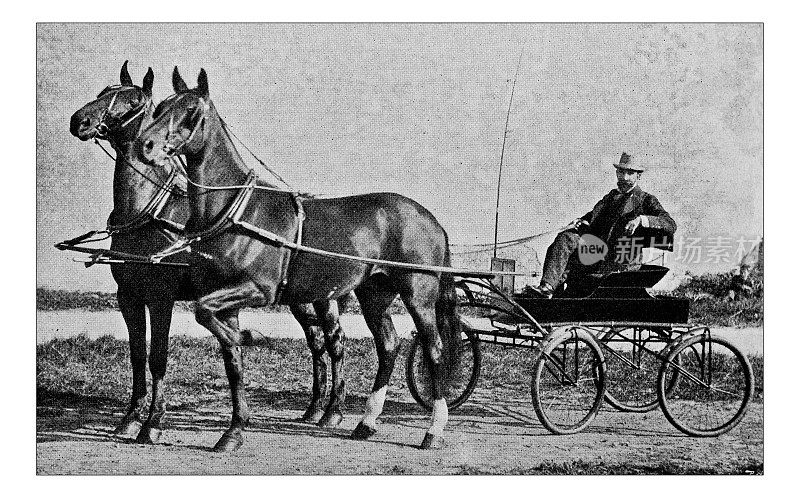 爱好和运动的古董点印照片:小跑的马车