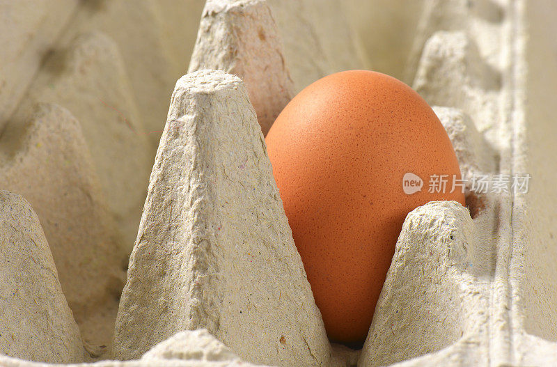 一个新鲜的棕色鸡蛋