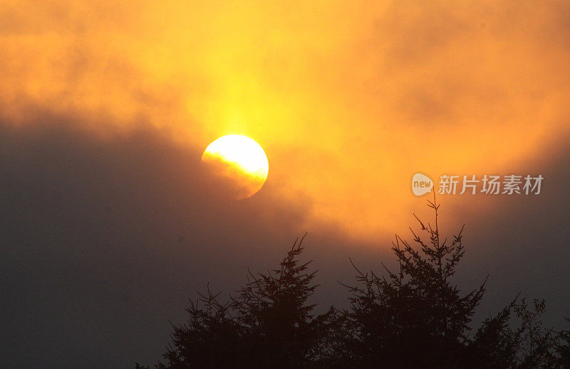 太阳在日落时躲在云后面