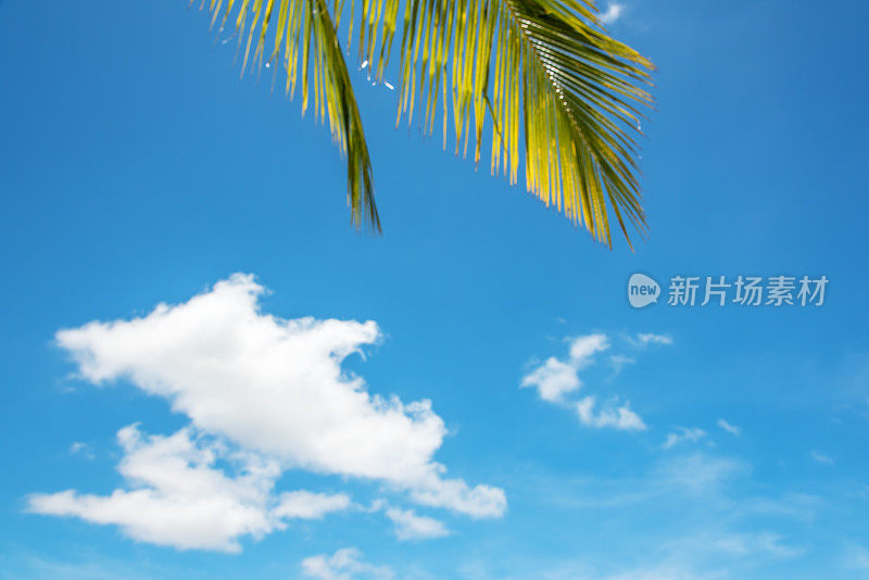 夏季抽象背景