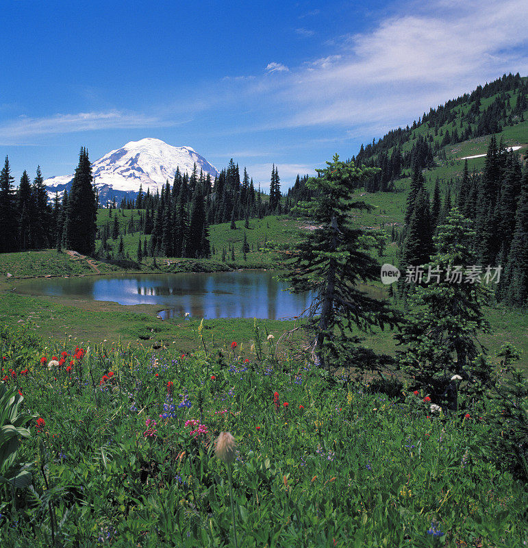 雷尼尔山，野花和高山湖