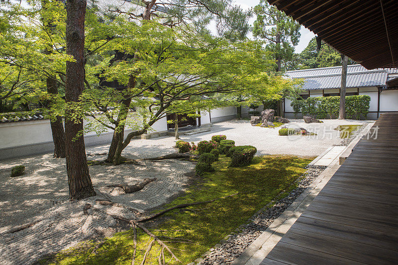 日本京都百库曼本细寺的禅宗花园