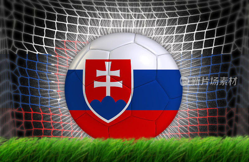 带有斯洛伐克国旗的足球入网