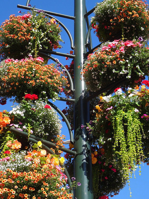 柱子上挂满鲜花的篮子