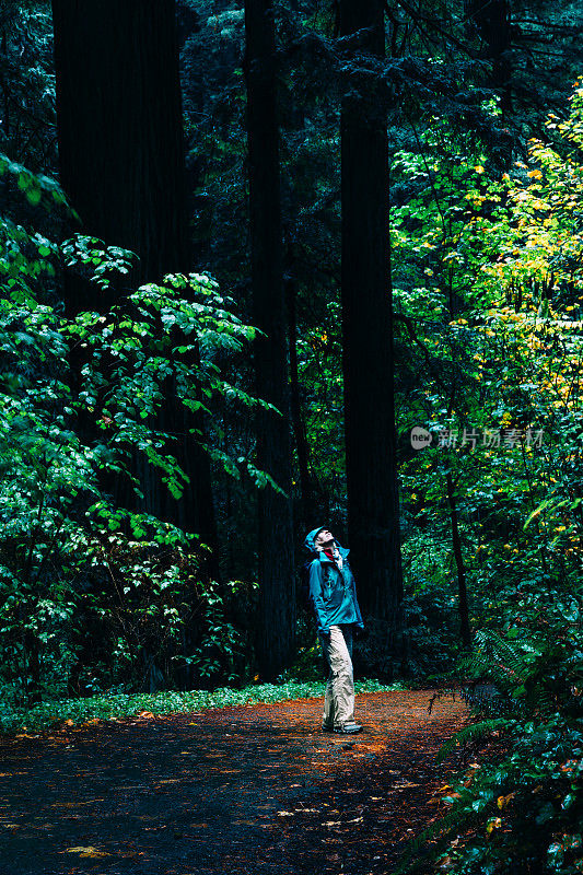 加州杰迪戴亚·史密斯红杉州立公园的一名妇女