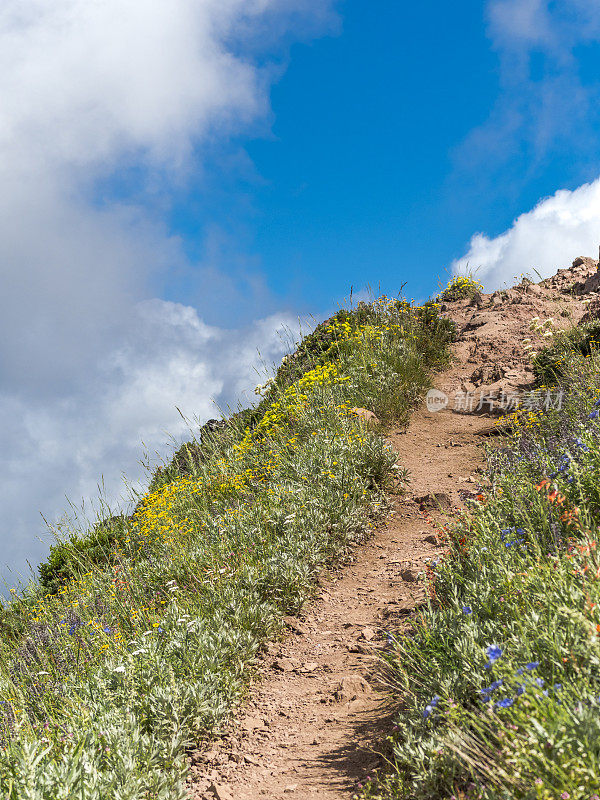 铁山陡峭的徒步旅行路线西部俄勒冈蓝天云