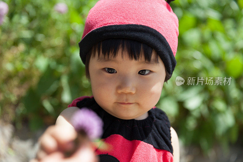 穿着瓢虫服装的小女孩找到了花