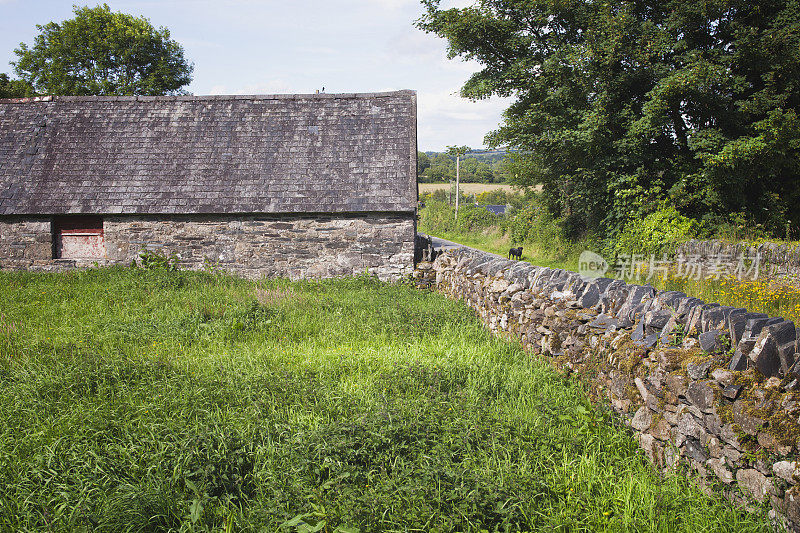 爱尔兰石谷仓，蒂帕瑞郡，有墙和狗