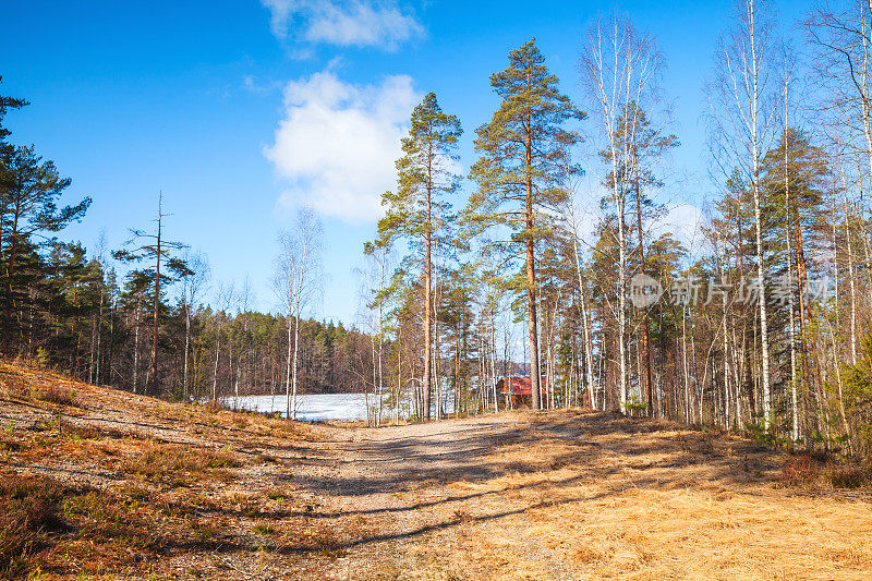 Saimaa湖海岸，Imatra，芬兰