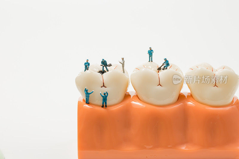 微型人清洁牙齿模型上的白色背景