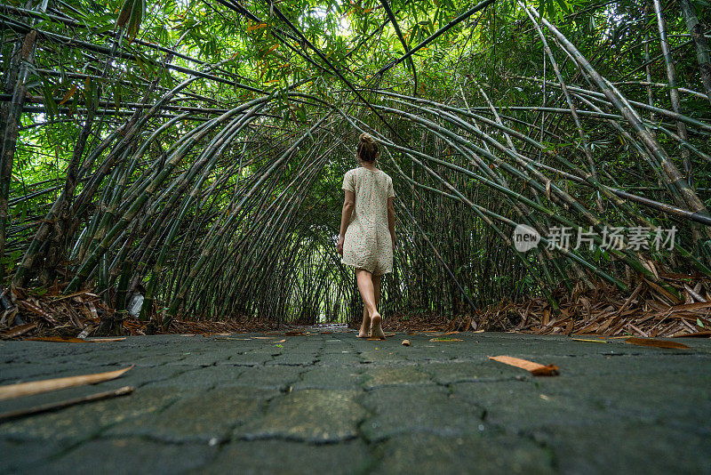 低视角的女性行走在竹林里