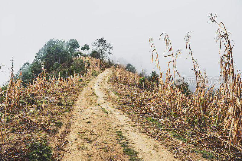 危地马拉高地小道