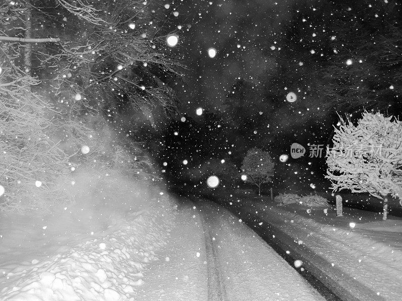 雾谷雪花狂风暴风雪冬天危险夜晚道路驾驶情况