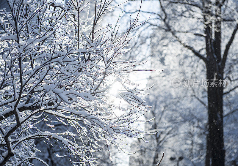 麦迪逊广场公园的一个下雪的早晨