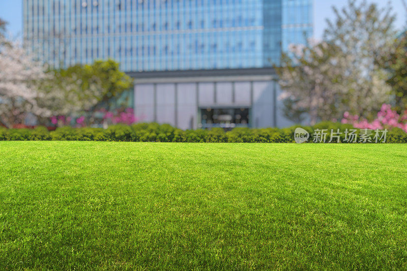 绿色草坪映衬着天空的现代办公大楼