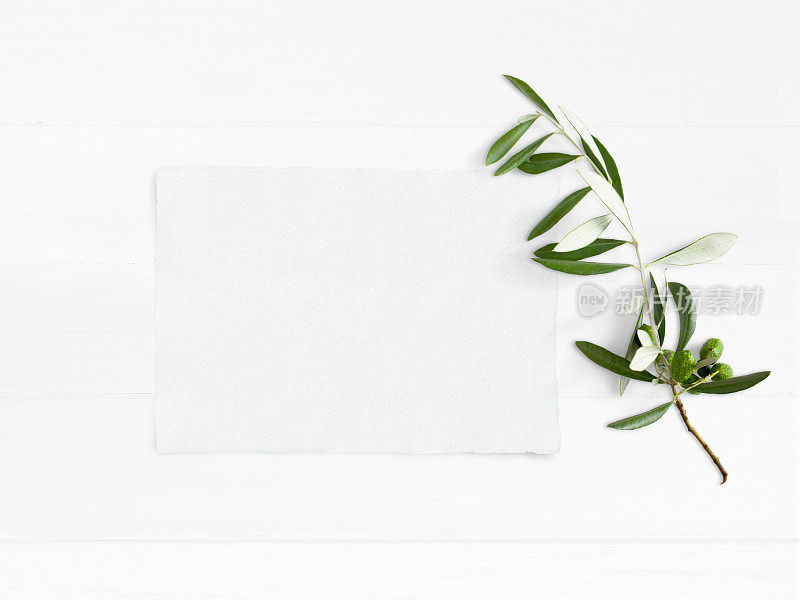 风格的库存图片。女性婚礼桌面模型与绿色橄榄枝和白色空纸卡。树叶组成在旧的白色木制背景。前视图。平把照片