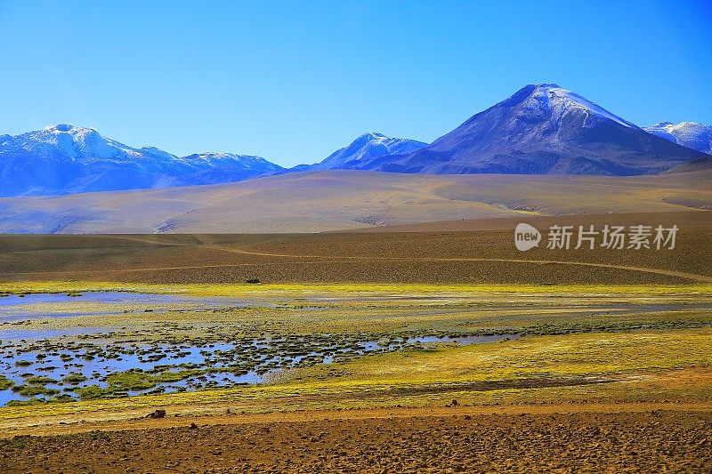 田园诗萨拉德塔拉盐沼，湖泊和河流沼泽-火山和田园诗阿塔卡马沙漠高原，火山景观全景-圣佩德罗阿塔卡马，智利，Bolívia和阿根廷边境