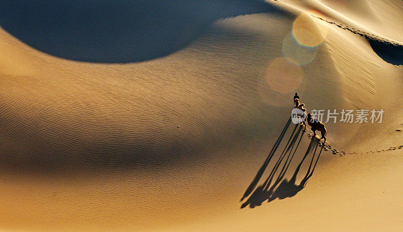 日出时有行走的骆驼的沙漠景观