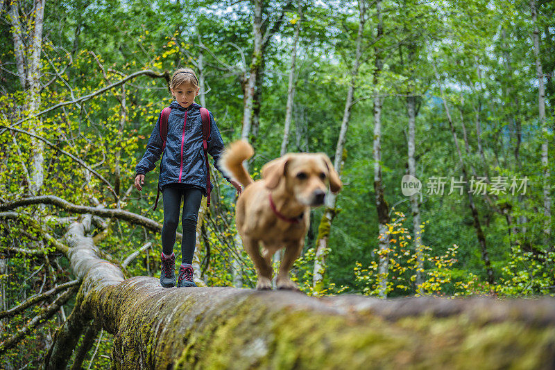女孩带着狗在森林里徒步旅行