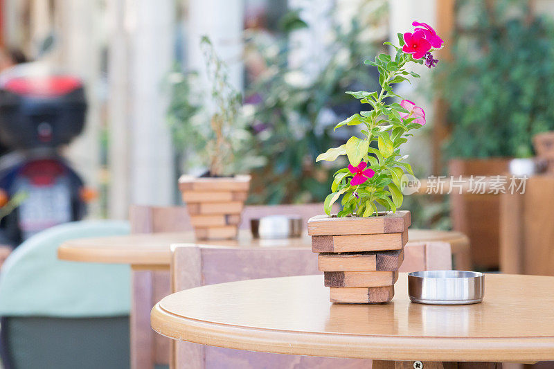 咖啡桌上的小木壶里放着紫色的矮牵牛花