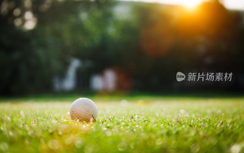 绿色的草与高尔夫球特写在阳光的软焦点。运动操场为高尔夫俱乐部的概念-广泛的景观为背景的字母高尔夫球打。